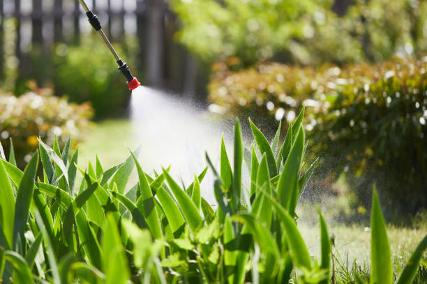Tamper-Resistant Bait Stations for Rodents in Springfield